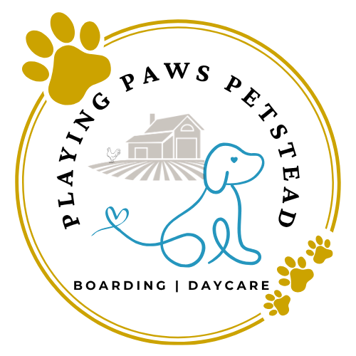 Playing Paws Petstead Logo