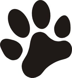 Pawfect Pet Care Services Logo