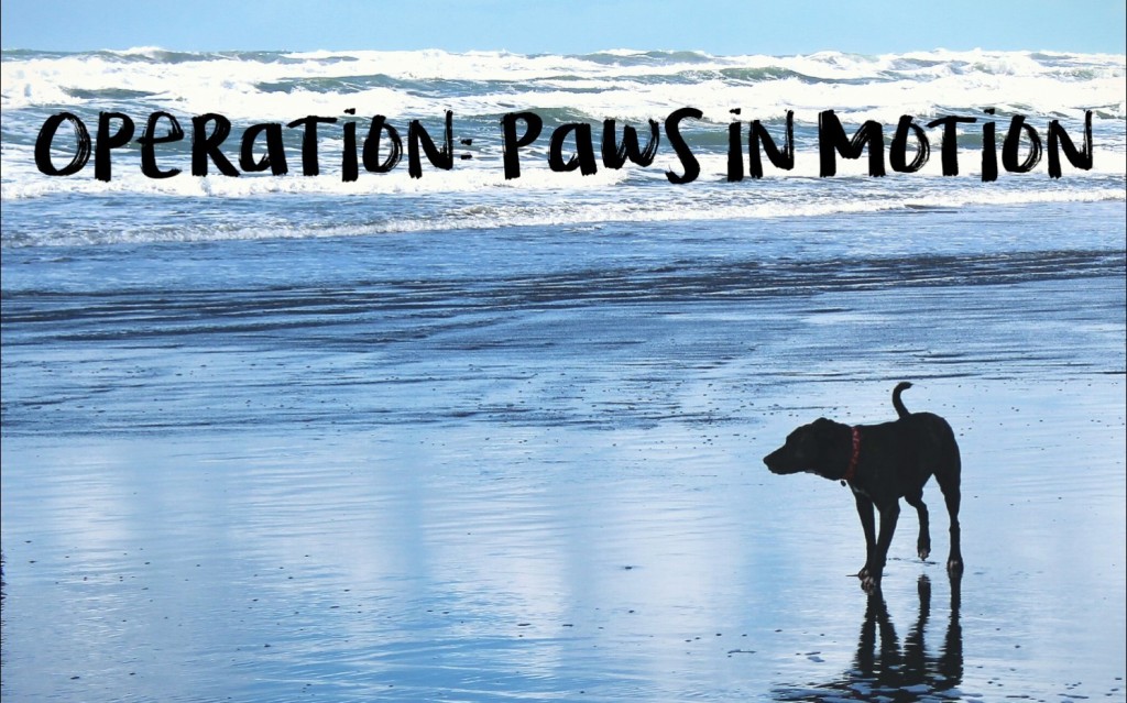 Operation Paws In Motion Logo