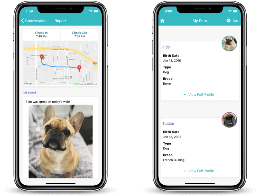 dog sitter app